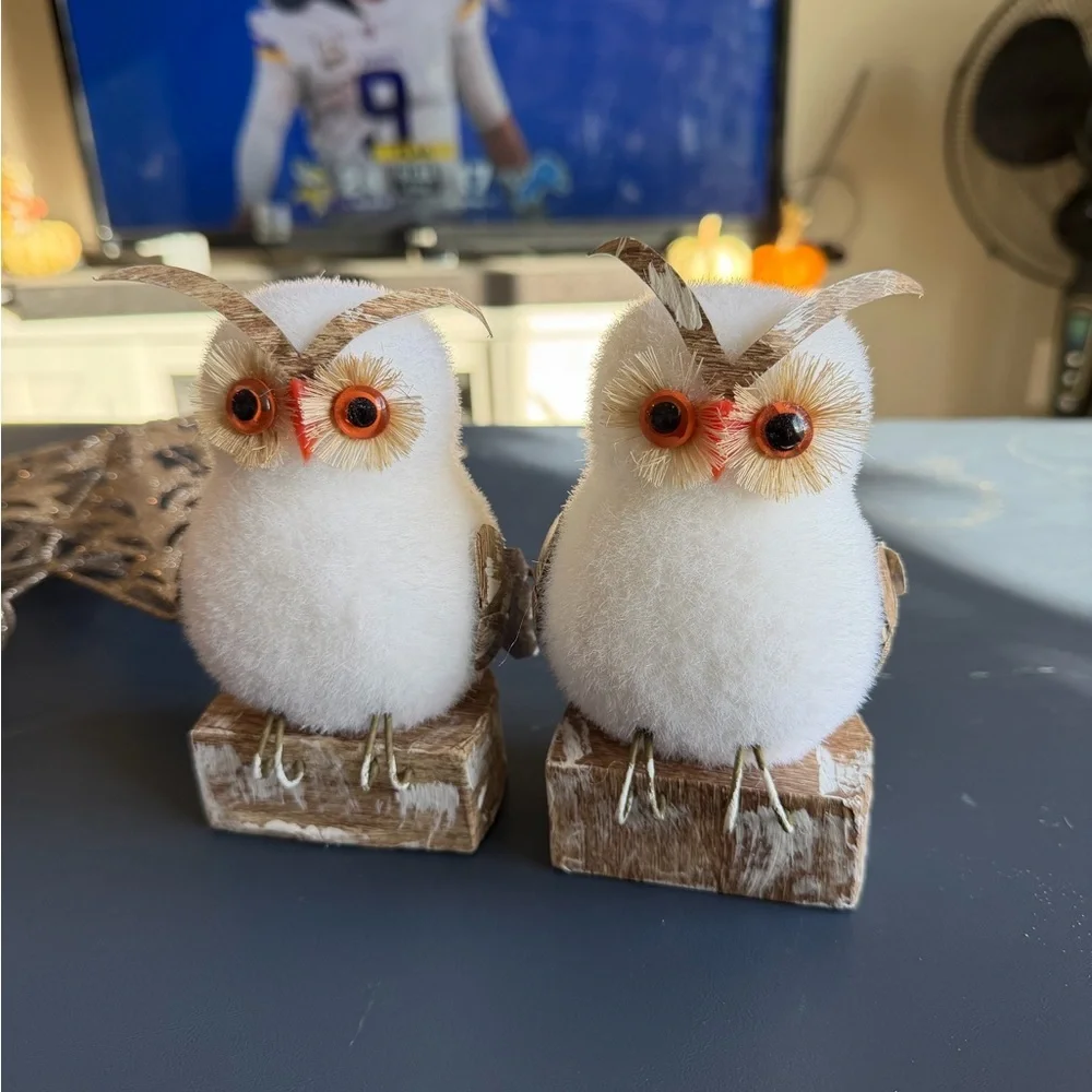 Two Decorative Shimmering‎ White Owl and Ornaments